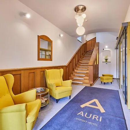 酒店 Auri Rudník