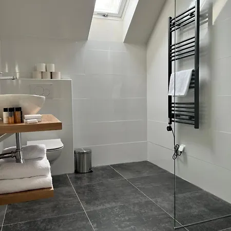 Szálloda Auri Rudník