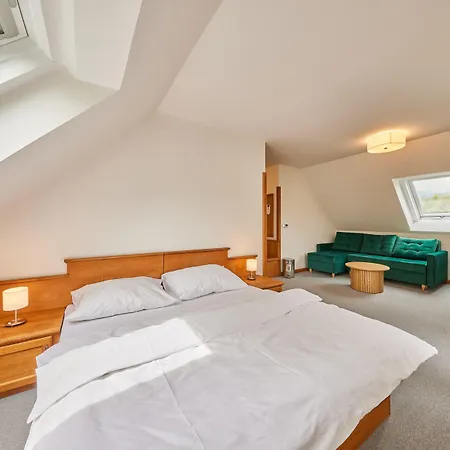 Hotel Auri Rudník